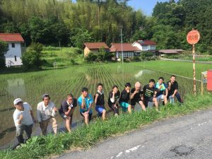 田んぼ研修2016　2回目「草抜き」
