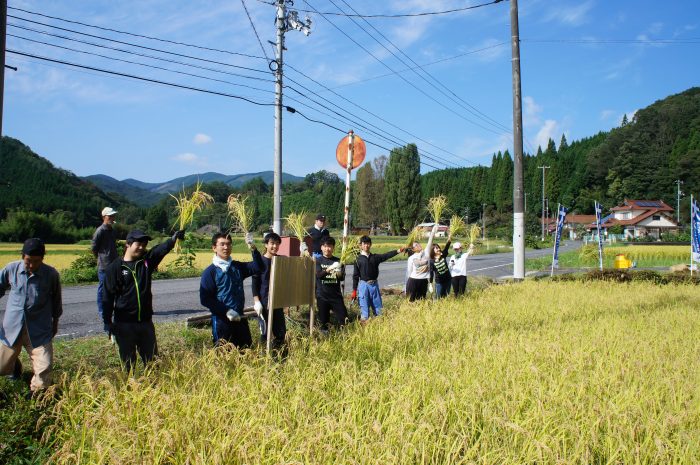 SONY DSC