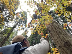 十方山登山